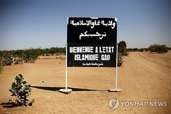 United Nations Mali Experts Report