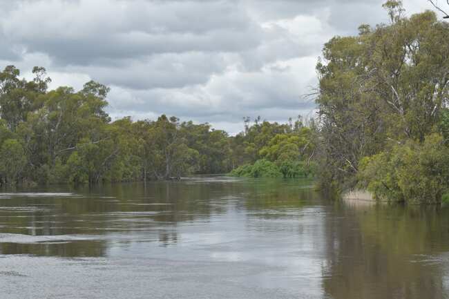 Water buybacks 'the easy way out', says VFF