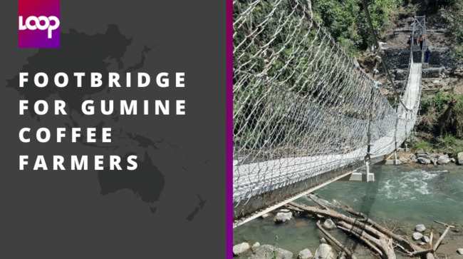 Footbridge for Gumine coffee farmers