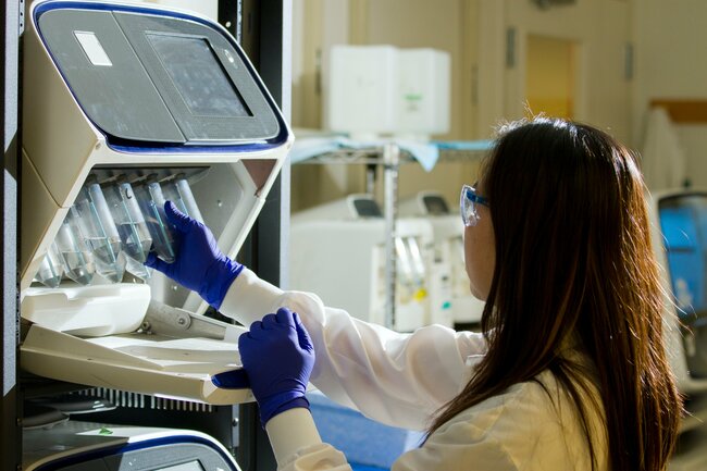 CDI Paper Reveals Dynamics of COVID-19 Pandemic Peak