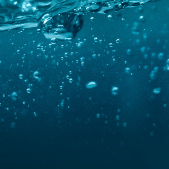 Commercial Fishers Back Healthy Hauraki Gulf, Seek Clear Understanding