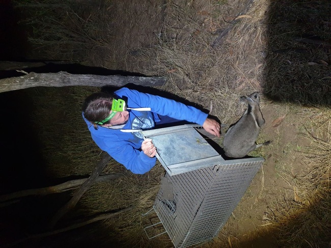 Our Sally is wildlife warrior