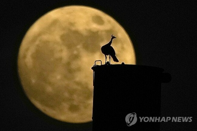APTOPIX India Supermoon
