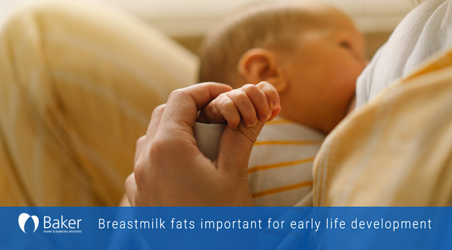 Breastmilk Fats May Explain Superiority of Breastfeeding