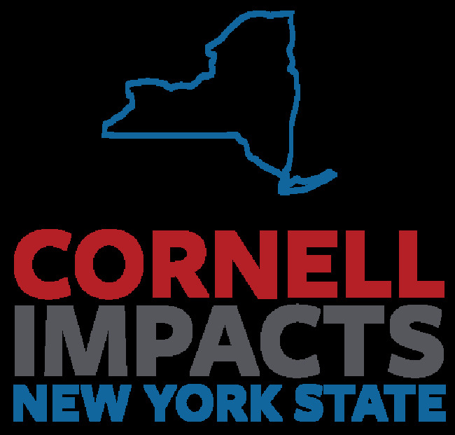 New York at Work Unveils State Employment Policies, Research