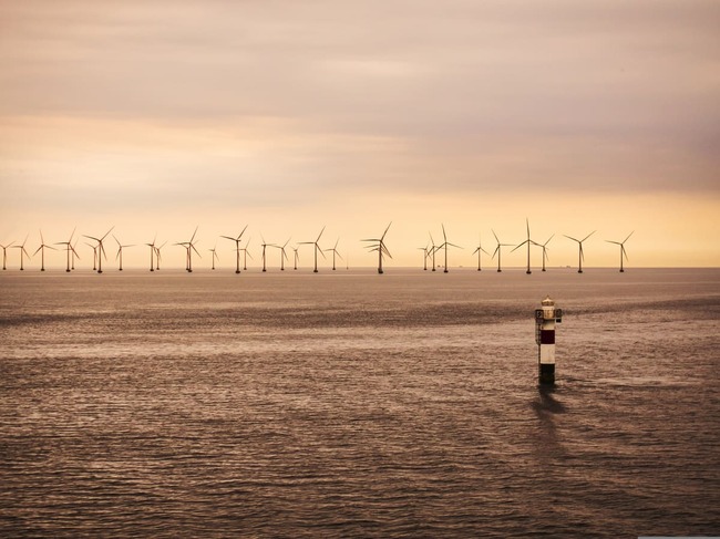 Developer Seeks Consent For Offshore Wind In Taranaki