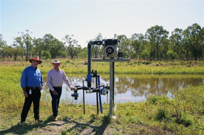 Rockhampton Boosts Resilience with Bushfire Recovery Grant