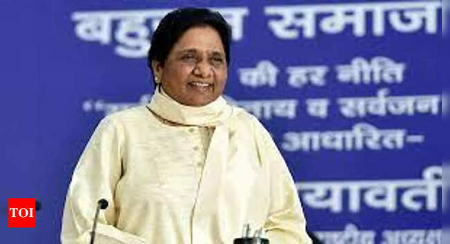 bjp: BJP, SP giving casteist colour to assembly polls: Mayawati