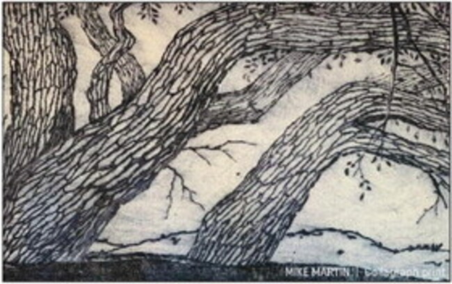 Self-taught artist named Boerne Art League ‘Artist of the Month'