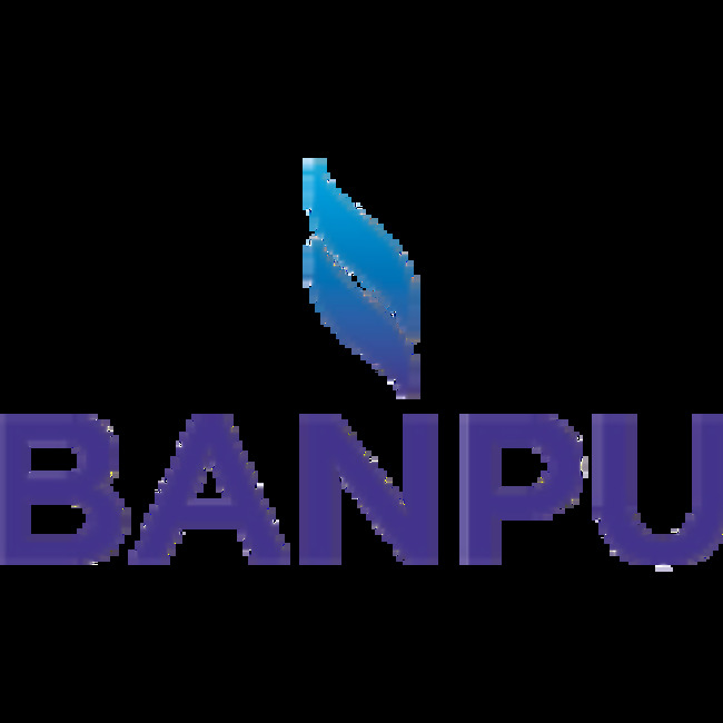 Banpu Public Company Limited to Issue Dividend of $0.11 (OTCMKTS:BNPJY)