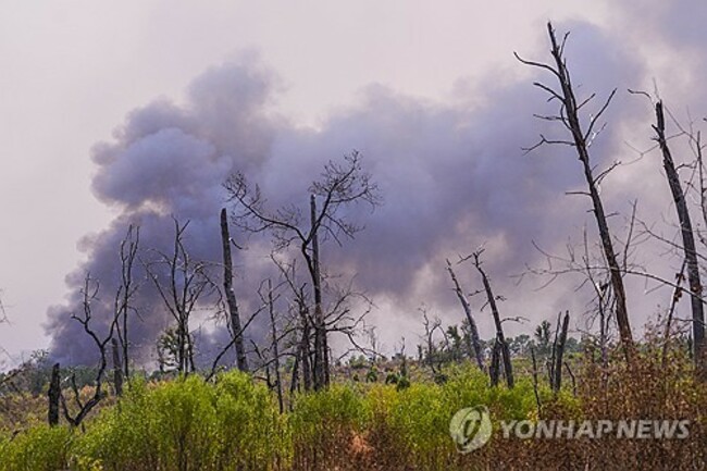 Texas Wildfire