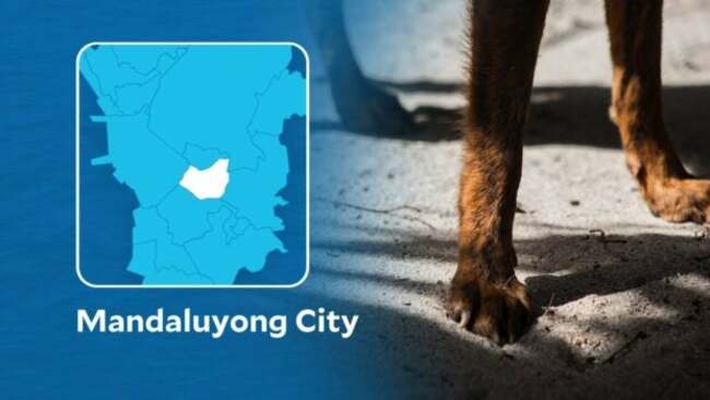 Pet care group takes spay, neuter drive to Mandaluyong