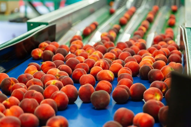 Preventable injury puts seasonal worker safety in focus