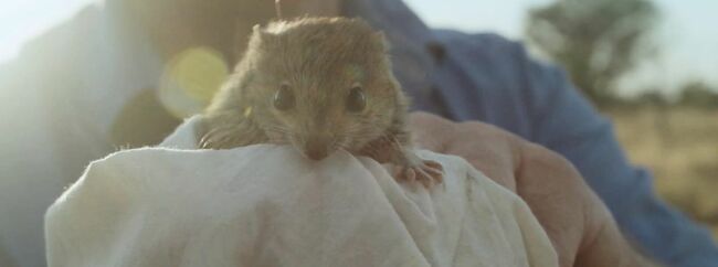 New Documentary Spotlights Newhaven Wildlife Sanctuary