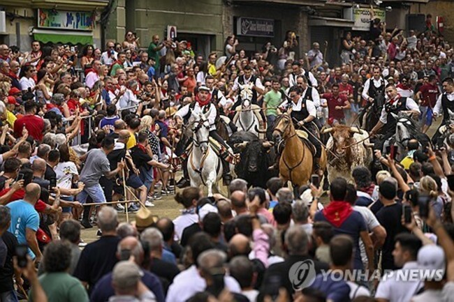SPAIN DROVING TRADITION
