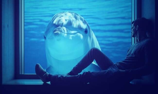 UK Gov Reappoints Advisory Council on Drug Misuse