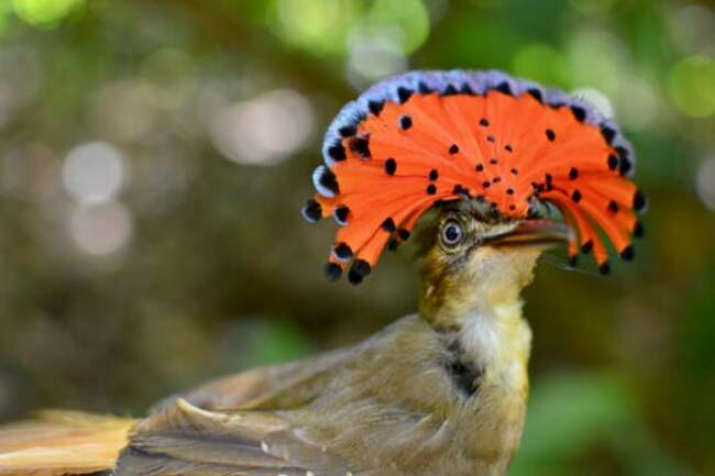 Habitat-Friendly Farms Crucial for Food Security, Biodiversity