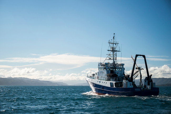 Early and long-lasting ozone hole, forecasts NIWA