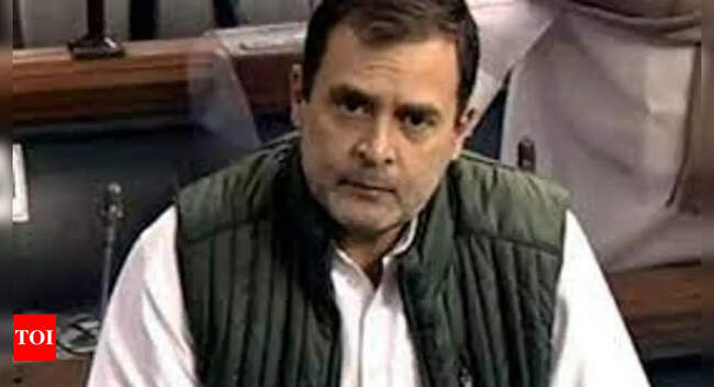 rahul: Judiciary and EC being 'captured': Rahul in Lok Sabha