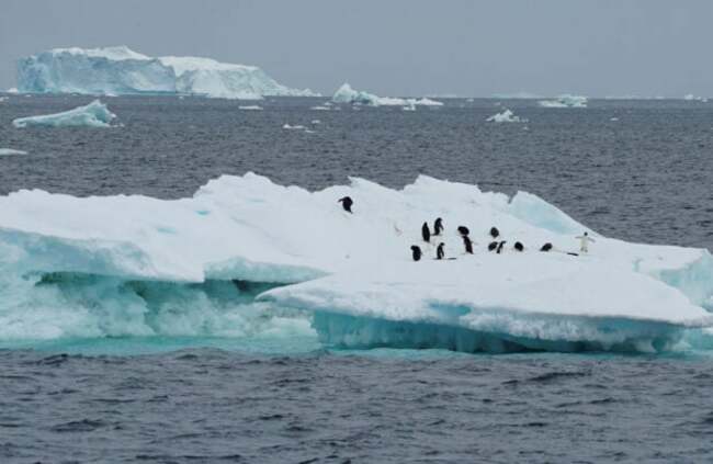 Australian who fell ill at remote Antarctic base rescued after daunting mission, authorities say