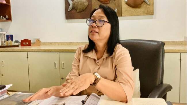 DTI-7 to focus on monitoring price cap on rice