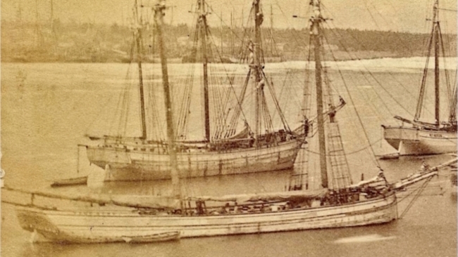 A 142-year-old sunken ship has been found in Lake Michigan