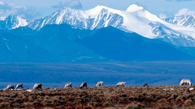 Biden administration cancels oil and gas leases in Alaska refuge