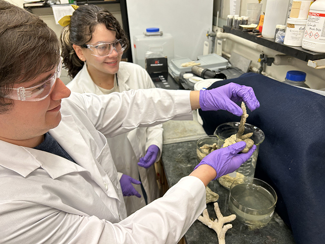 Purdue's New Bio-Based Glues Strengthen in Water