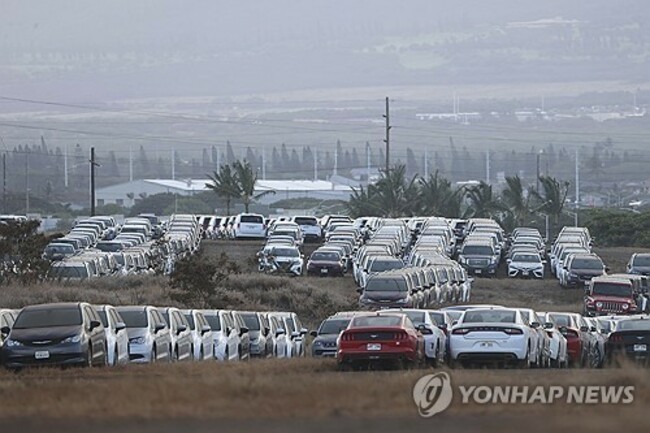 Hawaii Wildfires Tourism