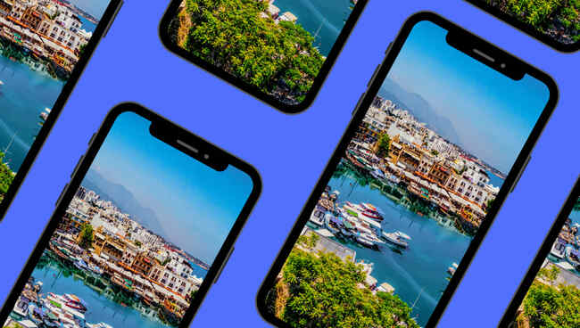 Newsroom daily quiz, Friday 8 September