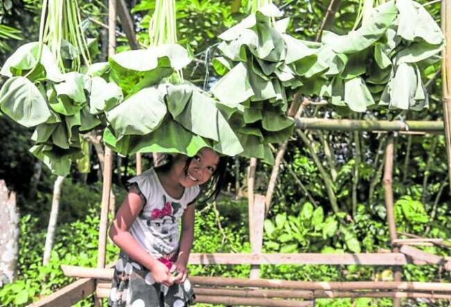 Over 5K evacuees on way homeas threat of Mayon blast eases