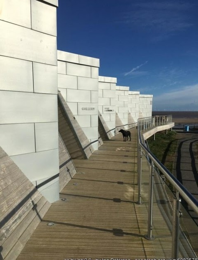 Police called to yoga class in Chapel St Leonards after reports of 'mass killing'