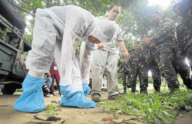 PH acquisition of bird flu vaccines will revive poultry industry – Romualdez