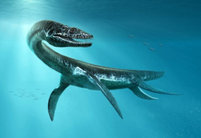 5 of the Most Interesting Prehistoric Marine Reptiles