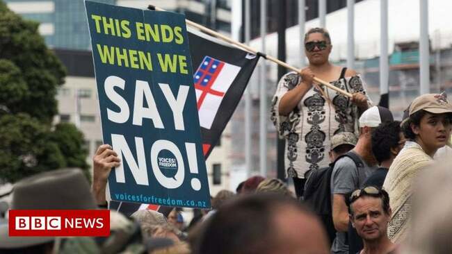 New Zealand anti-vax protesters inspired by Canada truckers camp outside parliament : news