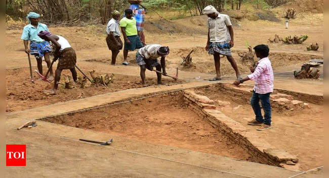 Tamil Nadu CM launches eighth phase of Keeladi excavation