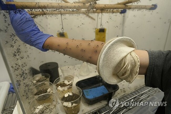 Mosquitoes Health and Climate