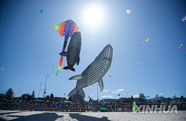 AUSTRALIA-SYDNEY-FESTIVAL OF THE WINDS
