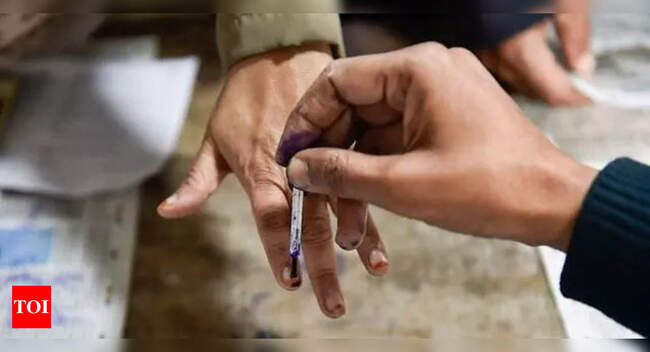 samajwadi party: Stage set for second phase of Uttar Pradesh Assembly polls; 586 candidates in fray