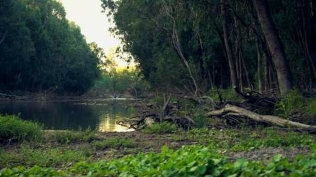 Council Backs Nature Pact 2023, Invites Public to Connect with Nature