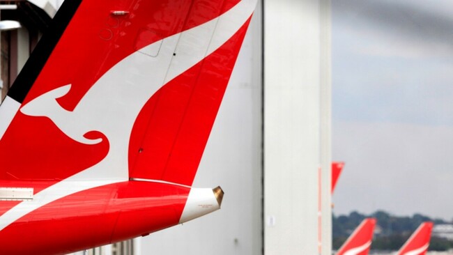 One Nation MP Sarah Game urges Qantas to ditch Welcome to Country
