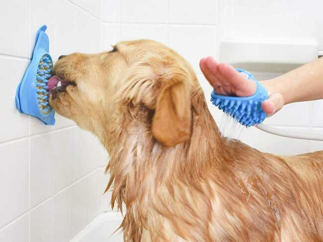 The 5 best dog lick pads for anxiety, bathing, and feeding