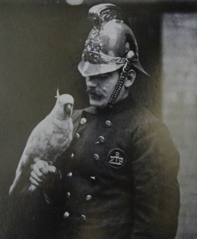 Research: Animal Cruelty Still Major Issue After 200 Years of Concerns