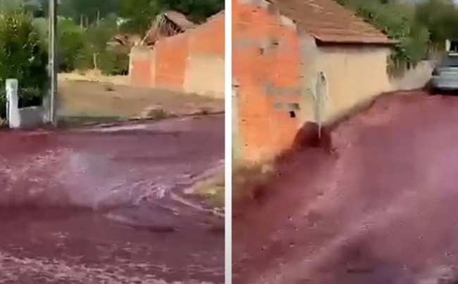 WATCH: Two million litres of red wine flood Portuguese village streets