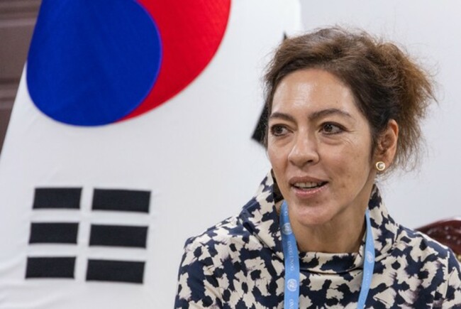 Don't sidestep human rights in North, UN rapporteur urges