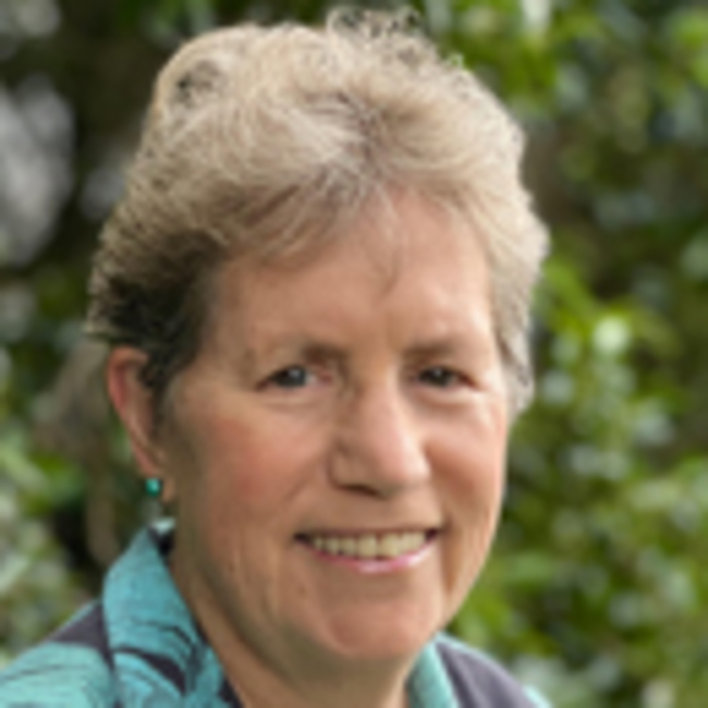 Veteran Hawaiʻi conservationist leads new UH land, ocean conservation office