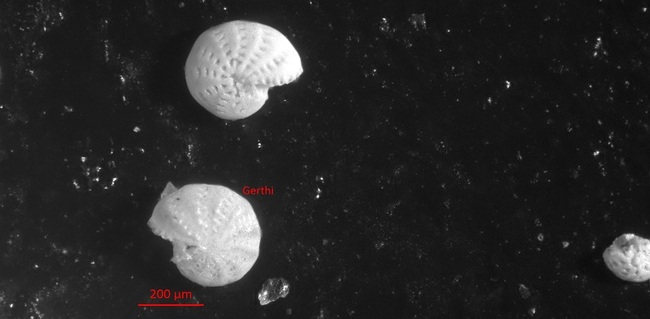 Ice Melt Likely Sparked Climate Change 8,000 Years Ago
