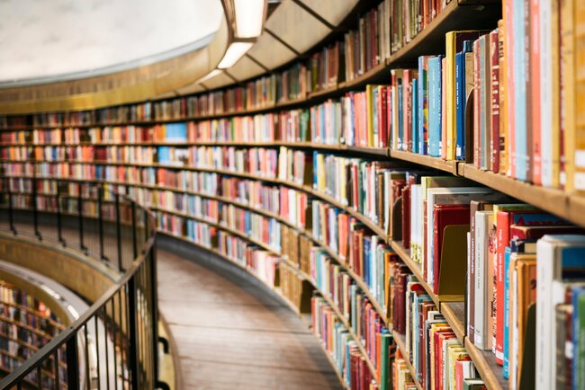 Michigan Housing Shortages Alarm Local Leaders: U Study