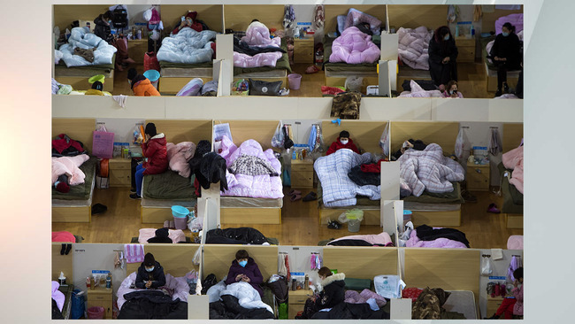 Added evidence shows coronavirus pandemic began in animals in Wuhan market