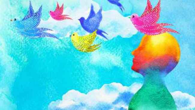 Study explores effects of meditation on social media use